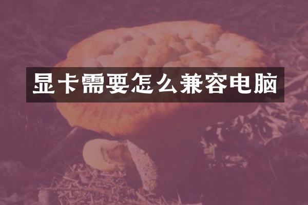 显卡需要怎么兼容电脑