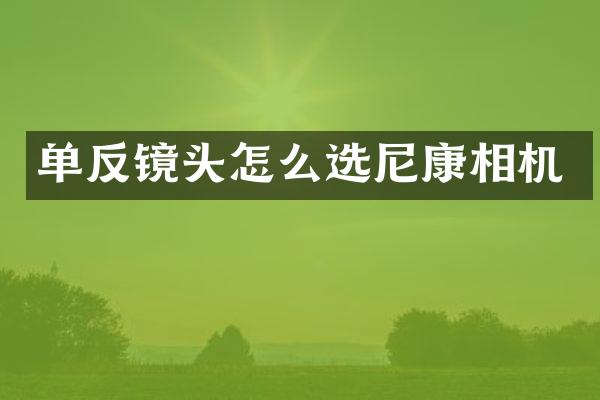 单反镜头怎么选尼康相机