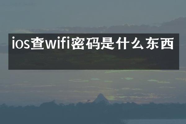 ios查wifi密码是什么东西吗