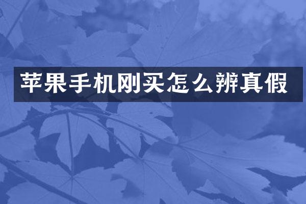 苹果手机刚买怎么辨真假