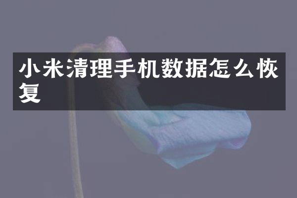 小米清理手机数据怎么恢复