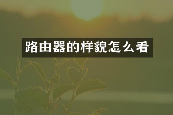 路由器的样貌怎么看