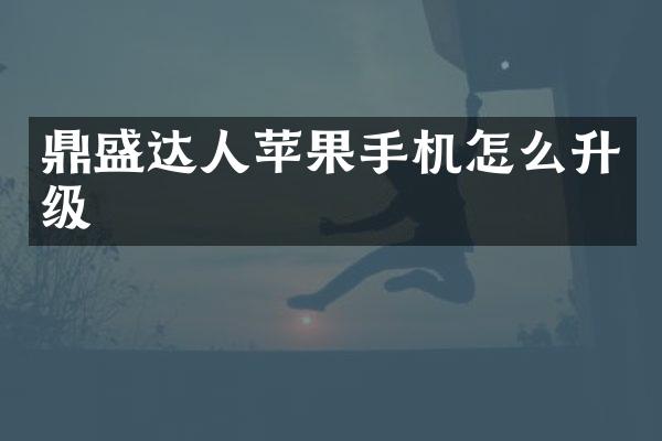 鼎盛达人苹果手机怎么升级