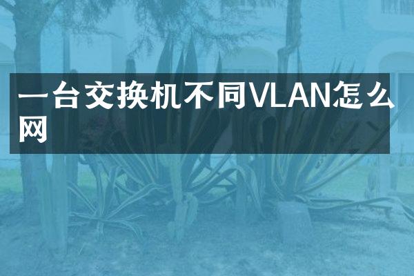 一台交换机不同VLAN怎么上网
