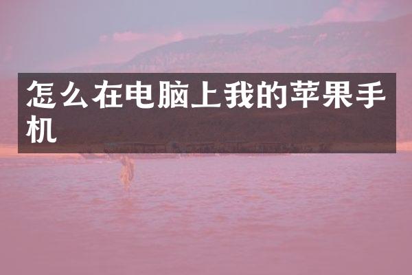 怎么在电脑上我的苹果手机