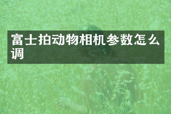 富士拍动物相机参数怎么调