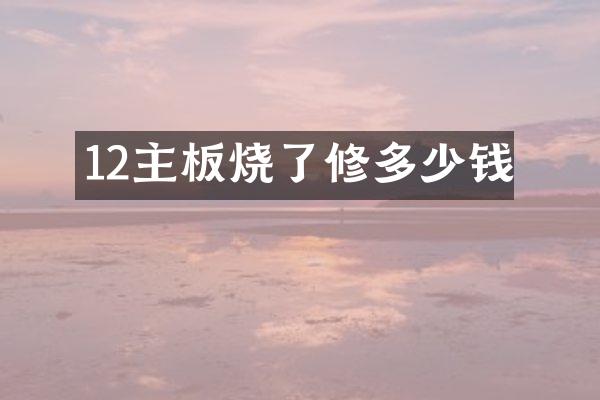 12主板烧了修多少钱