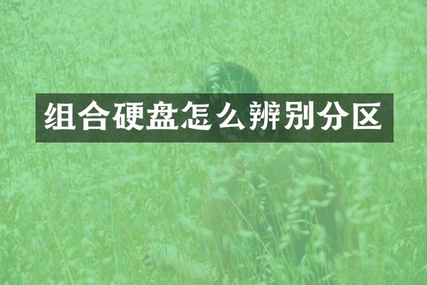 组合硬盘怎么辨别分区