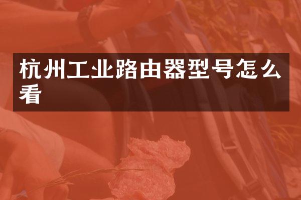杭州工业路由器型号怎么看
