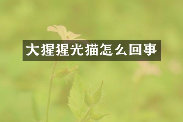 大猩猩光猫怎么回事