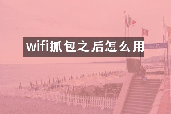 wifi抓包之后怎么用