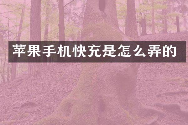 苹果手机快充是怎么弄的