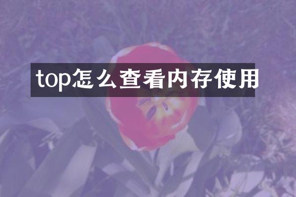 top怎么查看内存使用