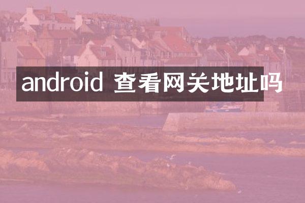 android 查看网关地址吗