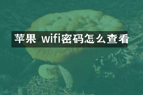 苹果 wifi密码怎么查看