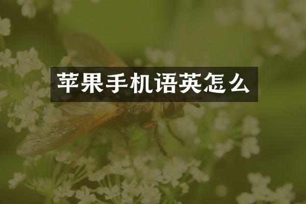 苹果手机语英怎么