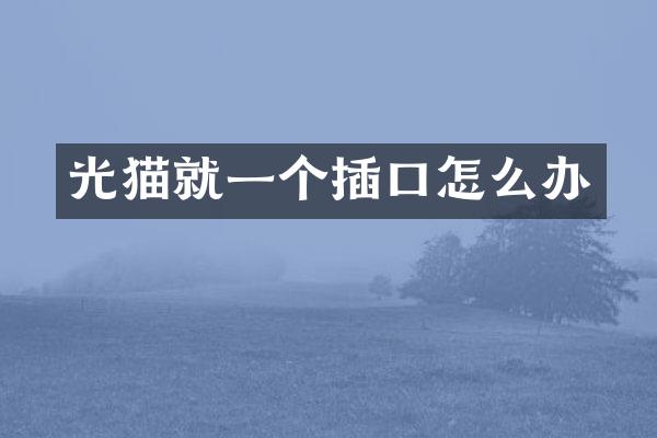 光猫就一个插口怎么办