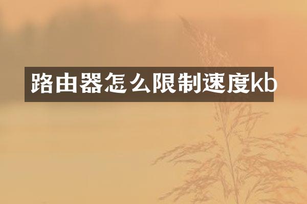 路由器怎么限制速度kb