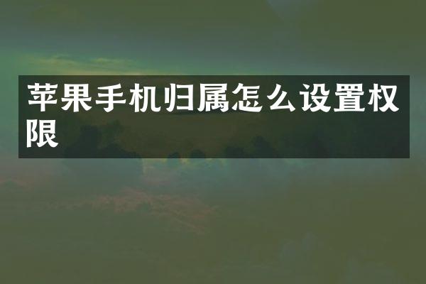 苹果手机归属怎么设置权限