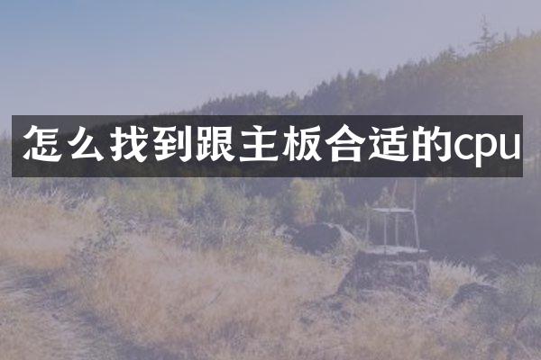 怎么找到跟主板合适的cpu