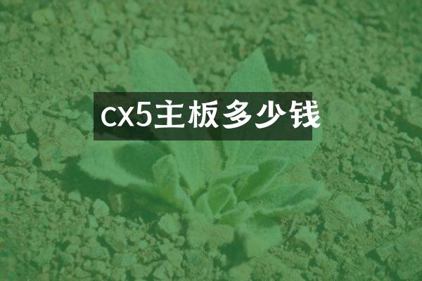 cx5主板多少钱