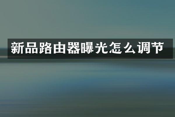 新品路由器曝光怎么调节