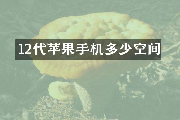 12代苹果手机多少空间