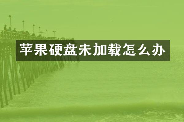 苹果硬盘未加载怎么办