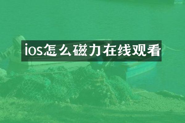 ios怎么磁力在线观看