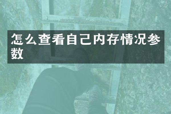 怎么查看自己内存情况参数