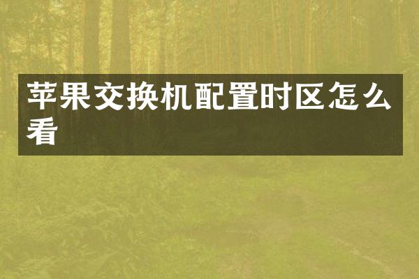 苹果交换机配置时区怎么看