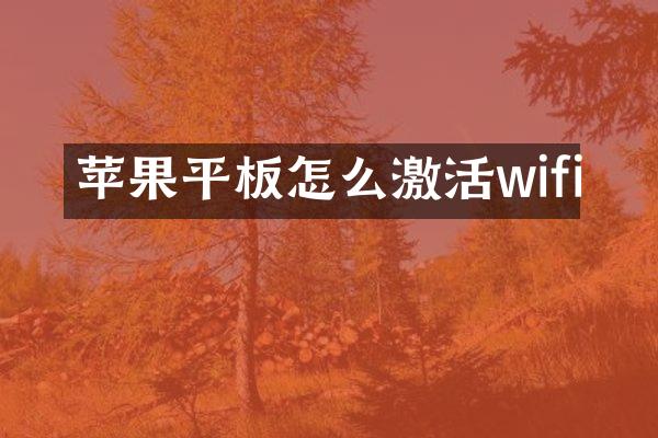 苹果平板怎么激活wifi