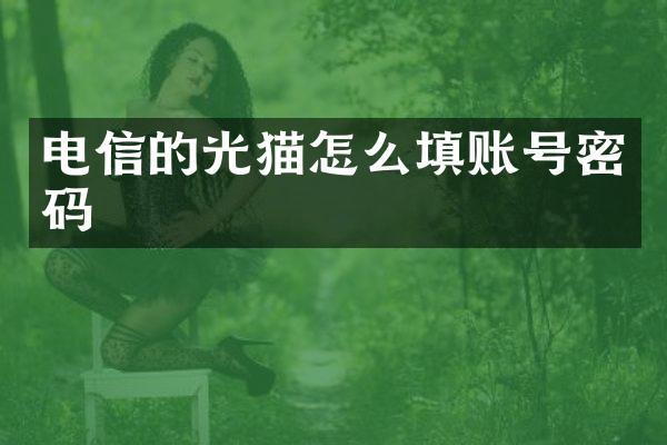 电信的光猫怎么填账号密码