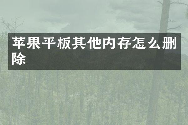 苹果平板其他内存怎么删除