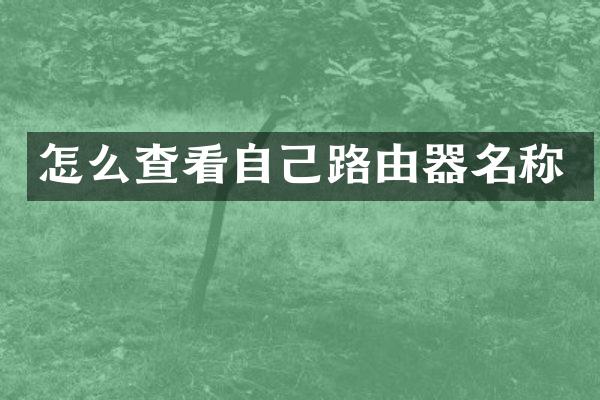 怎么查看自己路由器名称