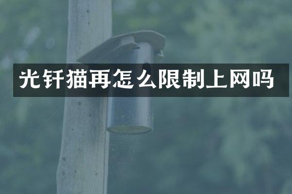 光钎猫再怎么限制上网吗