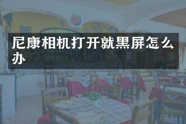 尼康相机打开就黑屏怎么办