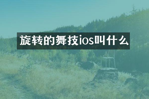 旋转的舞技ios叫什么
