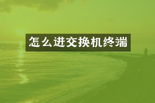 怎么进交换机终端