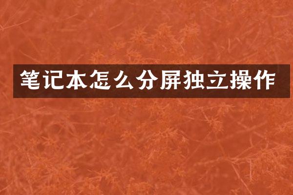 笔记本怎么分屏独立操作