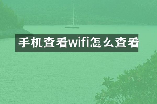 手机查看wifi怎么查看