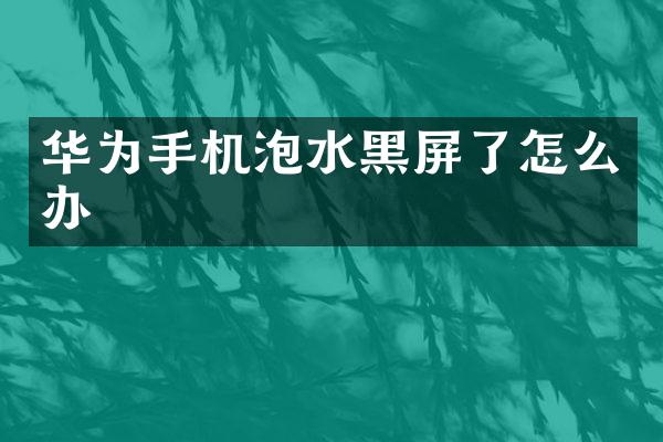 华为手机泡水黑屏了怎么办