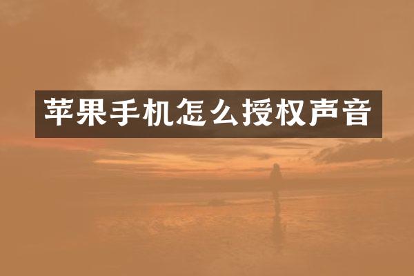 苹果手机怎么授权声音