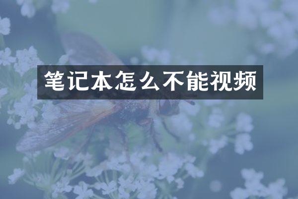 笔记本怎么不能视频