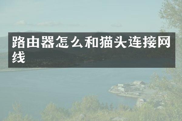 路由器怎么和猫头连接网线