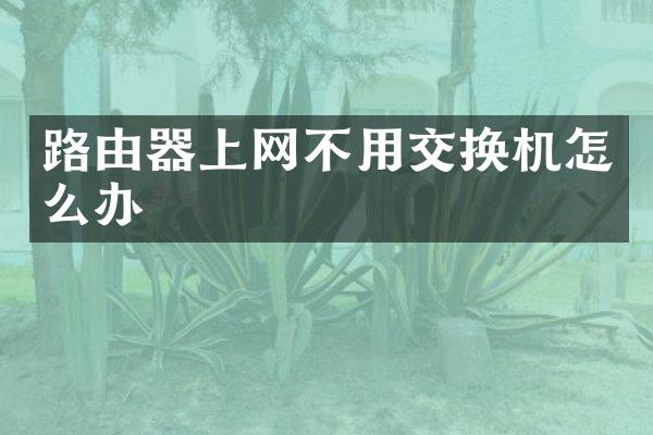 路由器上网不用交换机怎么办