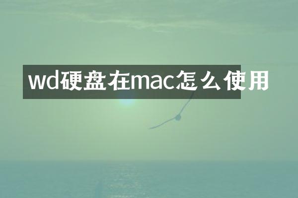 wd硬盘在mac怎么使用