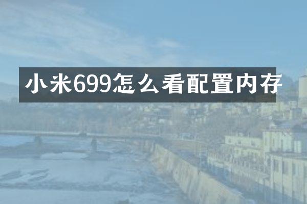 小米699怎么看配置内存