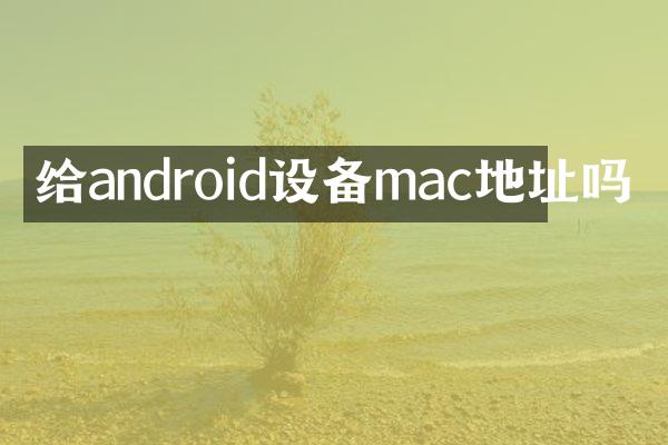 给android设备mac地址吗