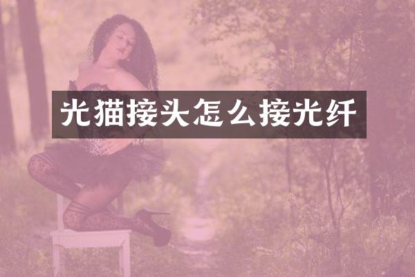 光猫接头怎么接光纤